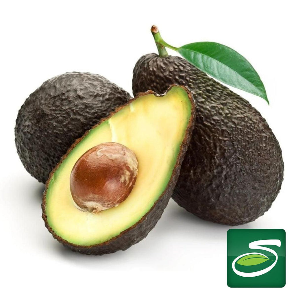 Avocado Hass (Small) - Seabra Foods Online