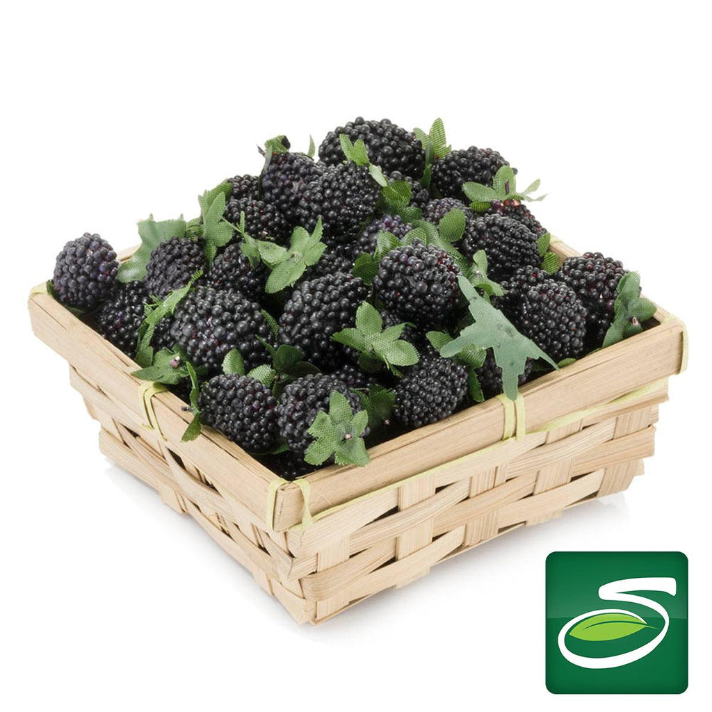 Blackberry Pack - Seabra Foods Online