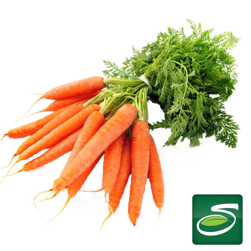 Carrots Bunch - Seabra Foods Online