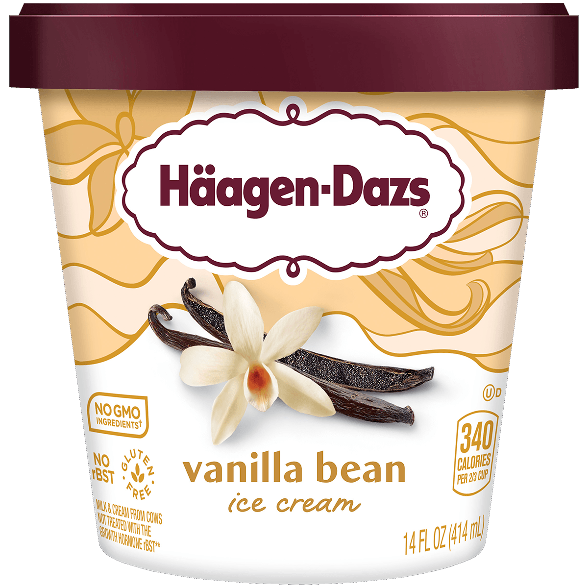 Häagen-Dazs Vanilla Bean IC – Seabra Foods Online