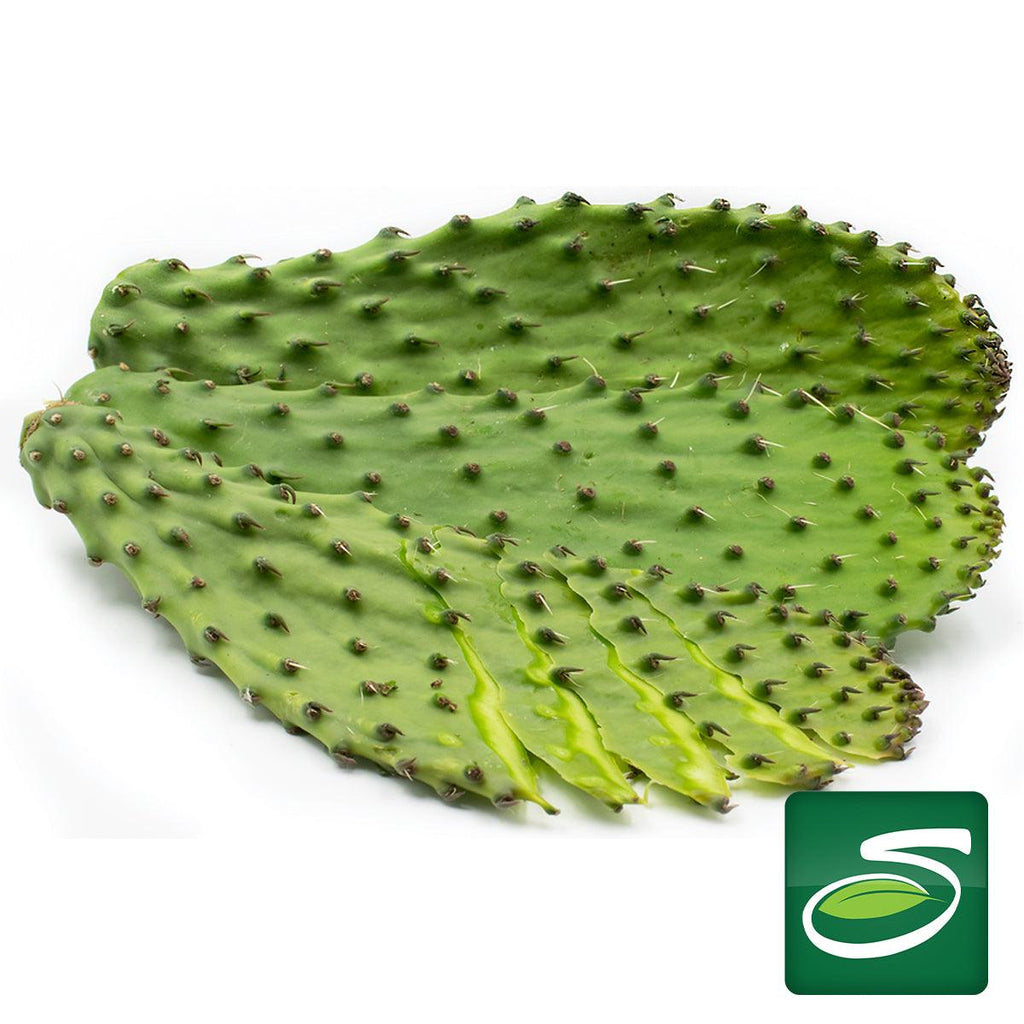 Nopal Leaf - Seabra Foods Online