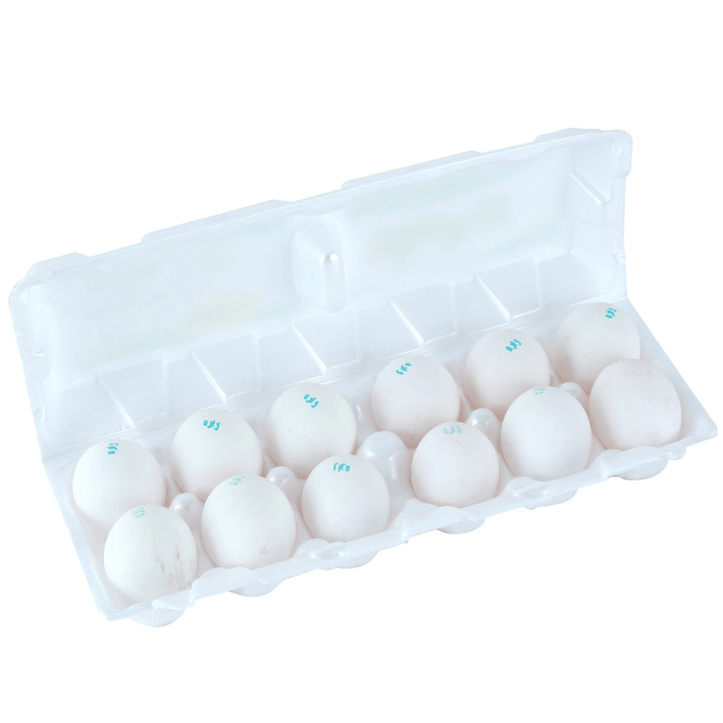 Pine Belt Large White Eggs - Seabra Foods Online
