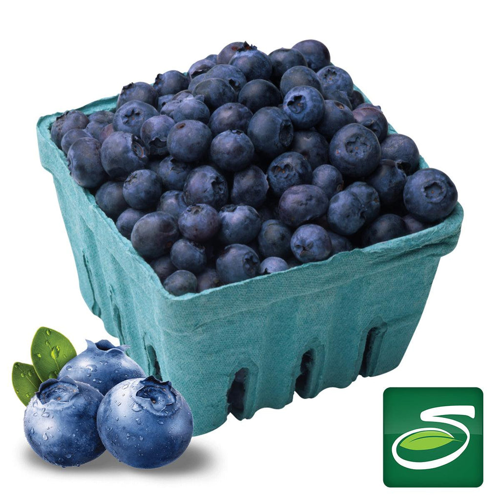Blueberry Pack - Seabra Foods Online