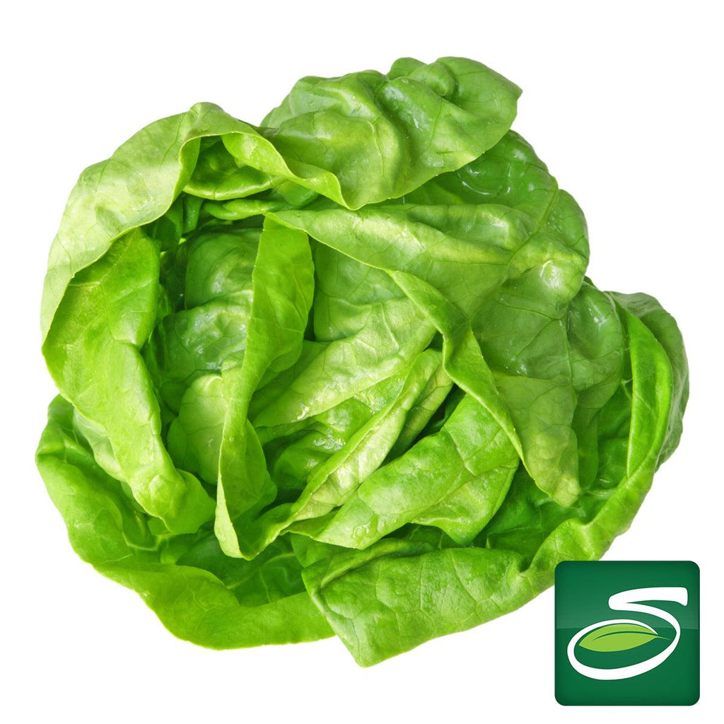 Boston Lettuce - Seabra Foods Online