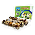 Da Roca Quail Eggs - Seabra Foods Online