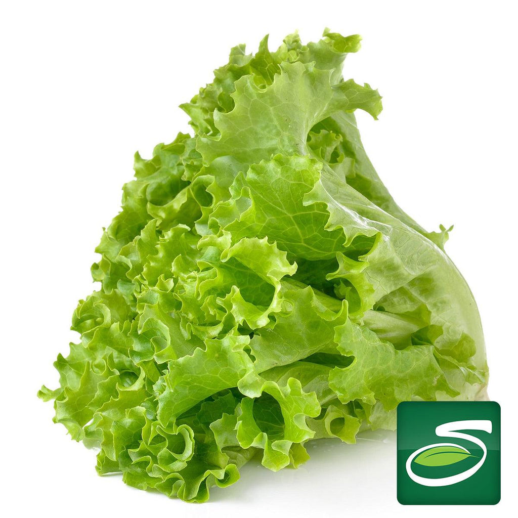 Green Leaf Lettuce - Seabra Foods Online