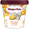 Häagen-Dazs Pine/Coconut IC - Seabra Foods Online