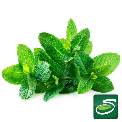 Mint - Seabra Foods Online