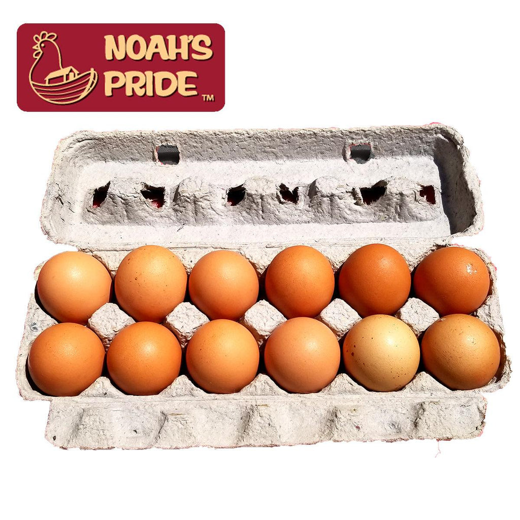 Noahs Pride Extra Large Brown Eggs 1dz - Seabra Foods Online