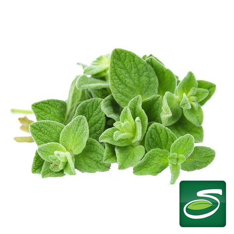 Oregano - Seabra Foods Online