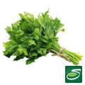 Parsley Bunch - Seabra Foods Online