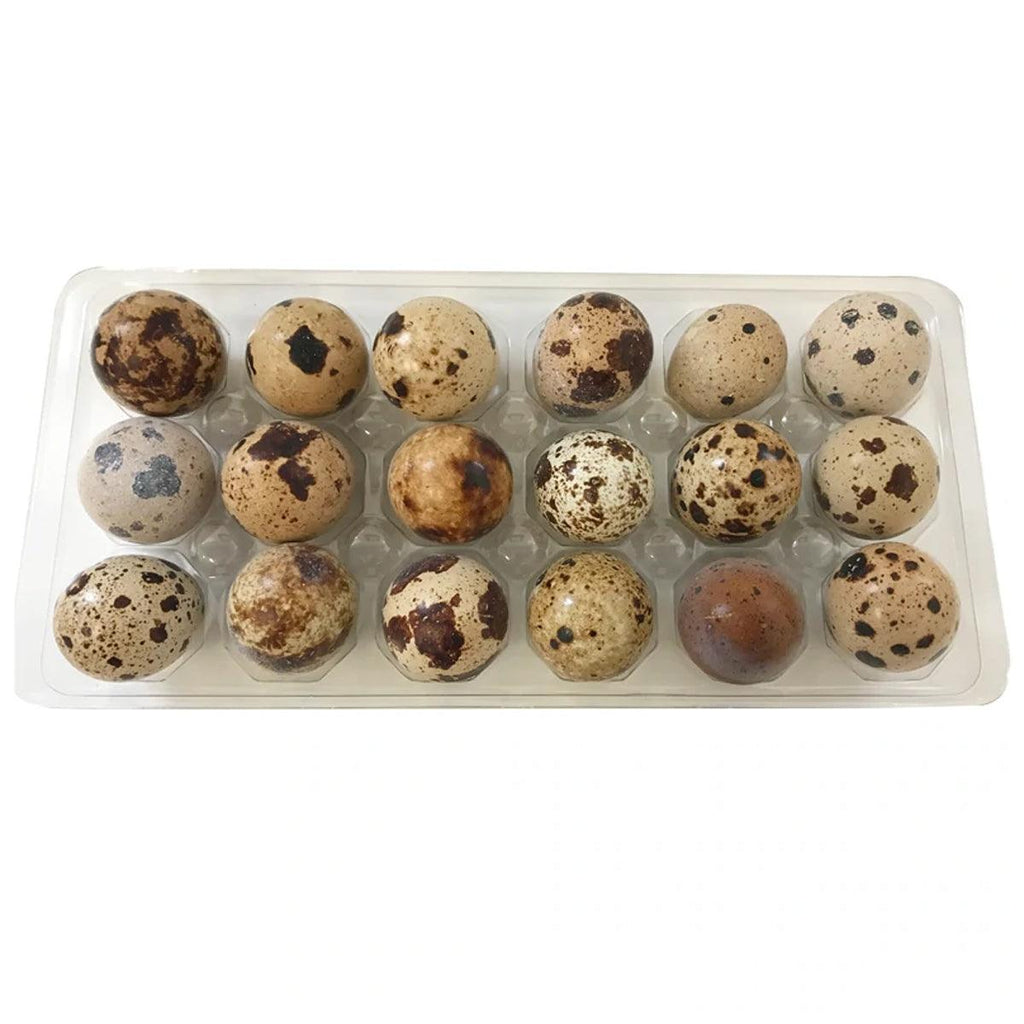 Quail Eggs - Seabra Foods Online