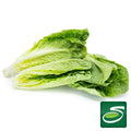 Romaine Hearts 3Pack - Seabra Foods Online