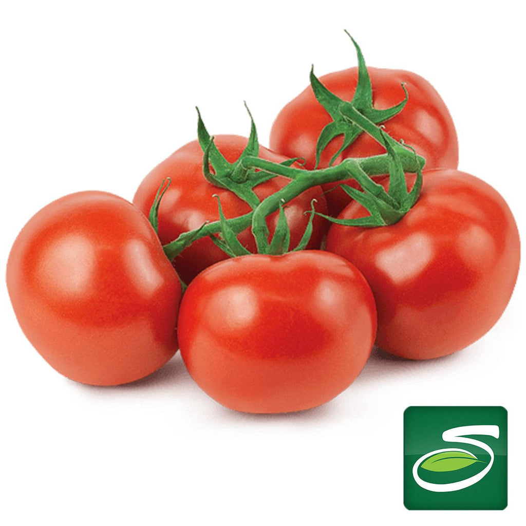Tomatoes in the Vine (3) - Seabra Foods Online