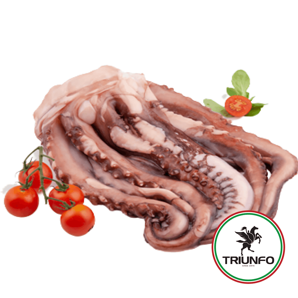 Triunfo Tentaculo de Pota 900g - Seabra Foods Online